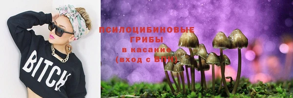 герыч Билибино