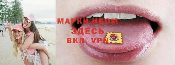 крисы Аркадак
