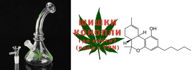 PSILOCYBIN Балахна