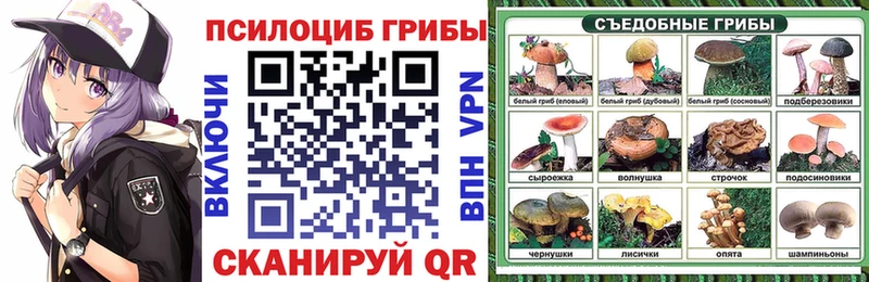 Галлюциногенные грибы ЛСД  Балей 